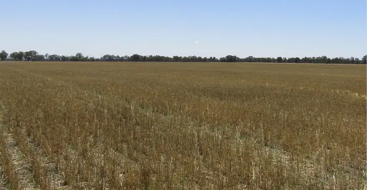 Second view of Homely rural property listing, 815 Kings Road, Norong VIC 3682