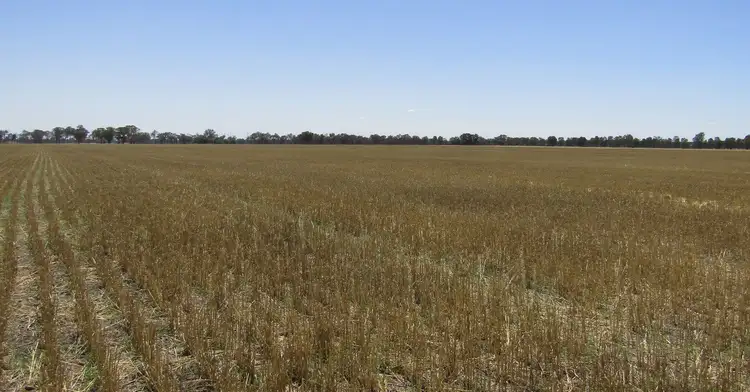 Sixth view of Homely rural property listing, 815 Kings Road, Norong VIC 3682