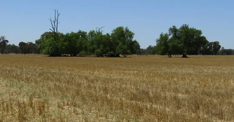 Seventh view of Homely rural property listing, 815 Kings Road, Norong VIC 3682