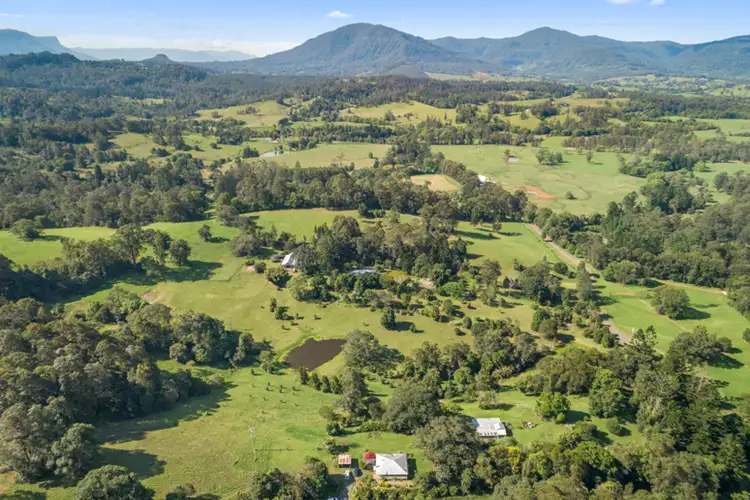 Second view of Homely rural property listing, 865 Mountain Top Road, Nimbin NSW 2480