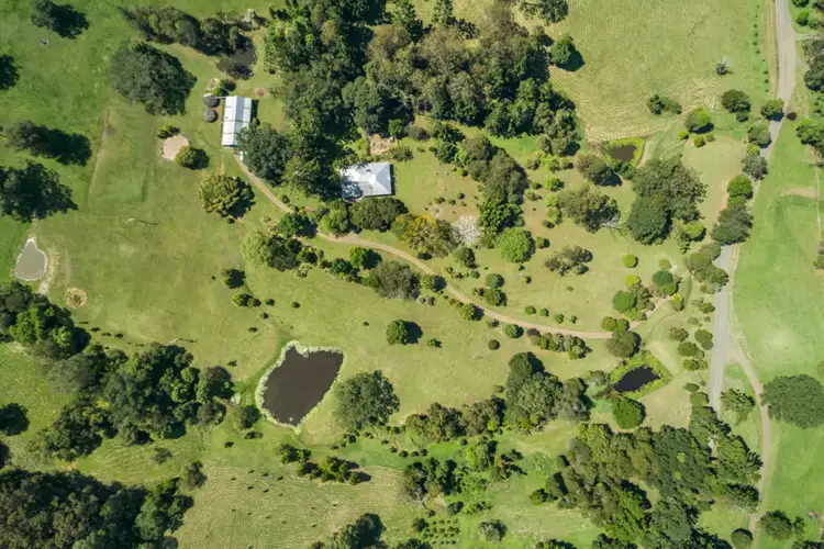 Third view of Homely rural property listing, 865 Mountain Top Road, Nimbin NSW 2480