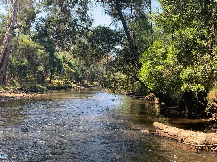 Lot 1 - 2323 Maroondah Hwy, Buxton VIC 3711