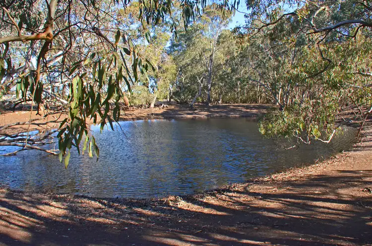 Main view of Homely rural property listing, 52 Elsegood Road, Macgillivray SA 5223