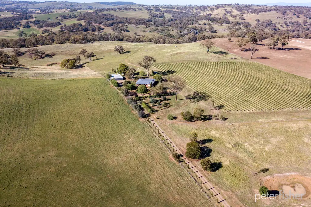 Main view of Homely rural property listing, 1827 The Escort Way, Borenore NSW 2800