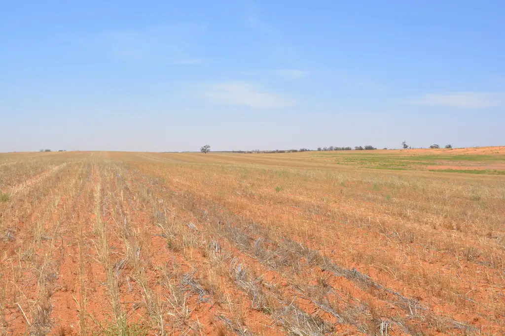 Main view of Homely rural property listing, 99 Hobbs Lane, Werrimull VIC 3496