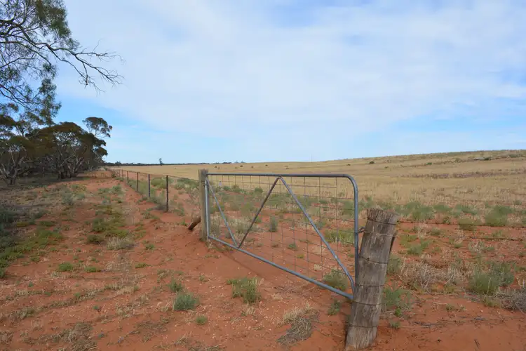 Seventh view of Homely rural property listing, 99 Hobbs Lane, Werrimull VIC 3496