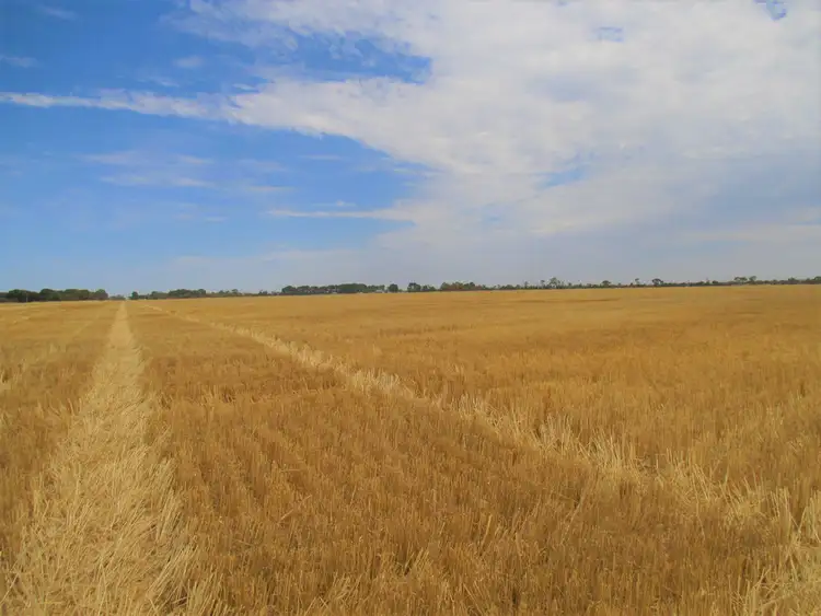 Second view of Homely rural property listing, Lot 4 Makin Road, Keith SA 5267