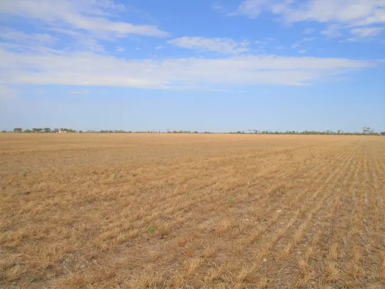 Third view of Homely rural property listing, Lot 4 Makin Road, Keith SA 5267