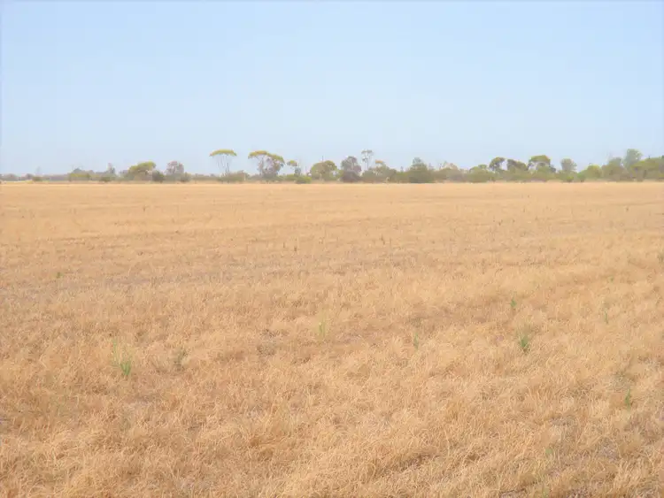 Fourth view of Homely rural property listing, Lot 4 Makin Road, Keith SA 5267