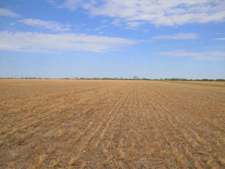 Fifth view of Homely rural property listing, Lot 4 Makin Road, Keith SA 5267