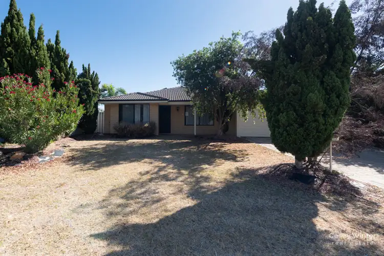 Second view of Homely house listing, 17 Grasstree Bend, Banksia Grove WA 6031