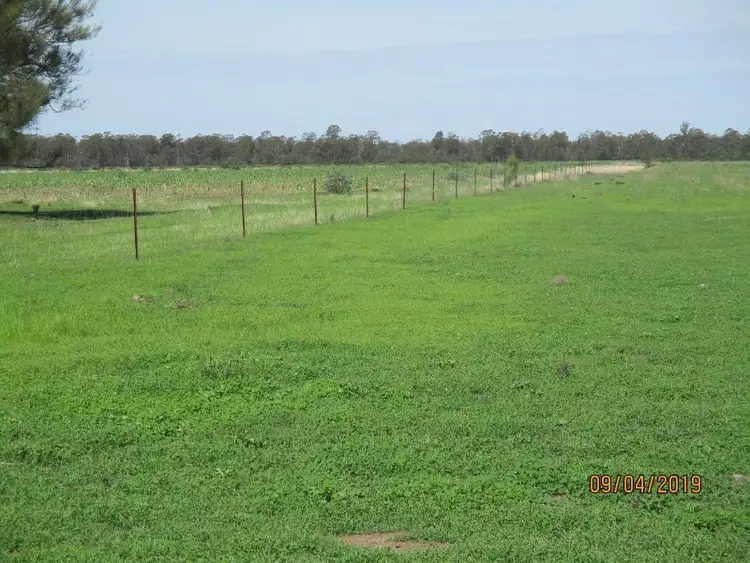 Second view of Homely rural property listing, 1211 ACRE GRAZING BLOCK, Tara QLD 4421