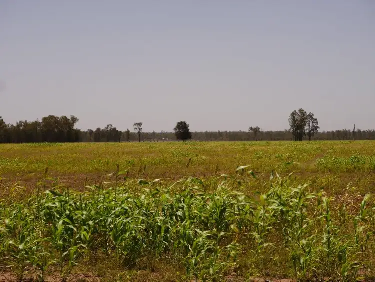Fourth view of Homely rural property listing, 1211 ACRE GRAZING BLOCK, Tara QLD 4421