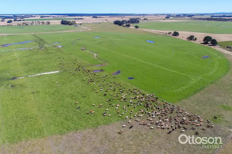 Seventh view of Homely rural property listing, 101 Glynns, Galpin & Trevoert Roads, Mount Gambier SA 5291