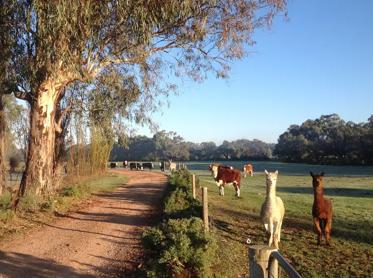104 Etiwanda  Avenue, Mildura VIC 3500