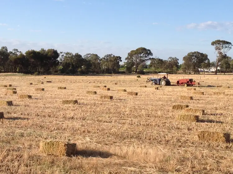 Fourth view of Homely rural property listing, 104 Etiwanda Avenue, Mildura VIC 3500