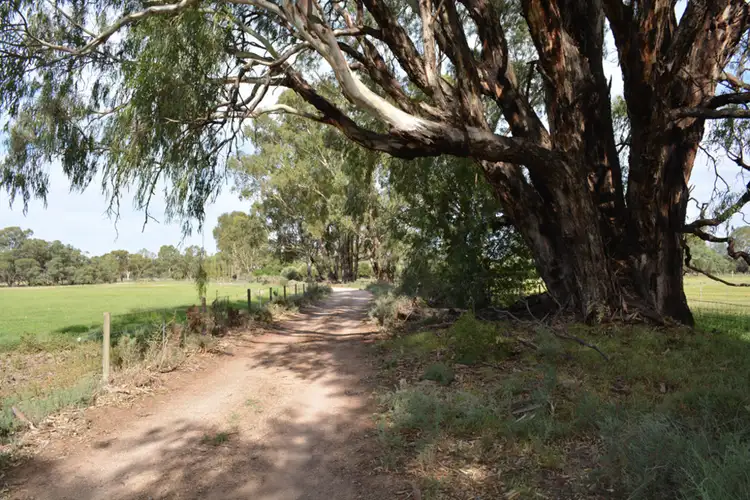 Sixth view of Homely rural property listing, 104 Etiwanda Avenue, Mildura VIC 3500