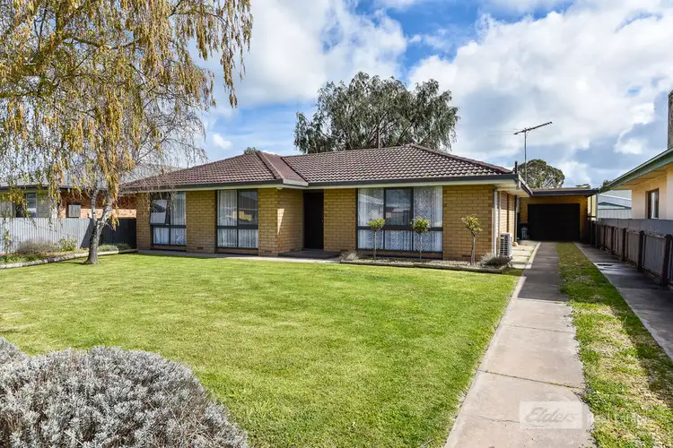 15 Commercial Avenue, Millicent SA 5280