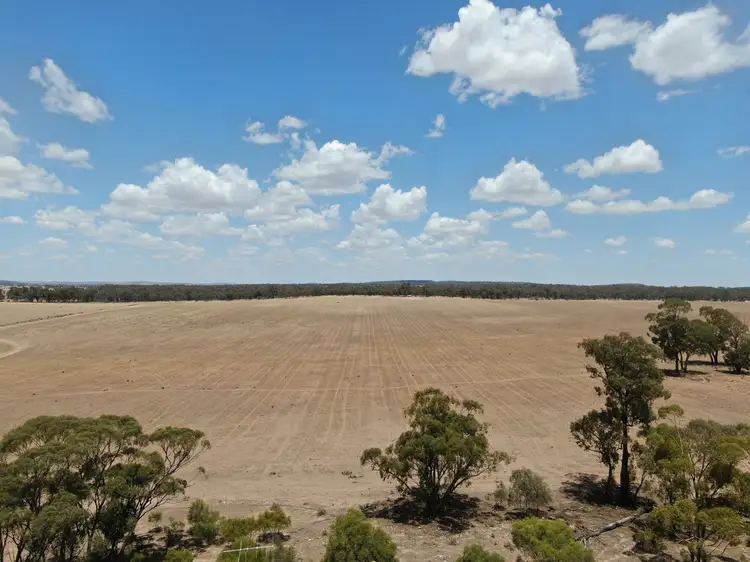 494 Yithan Road, Beckom NSW 2665