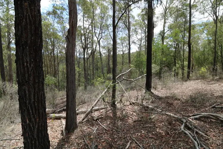 Third view of Homely rural property listing, 37 Cawood Close, Jarrahmond VIC 3888