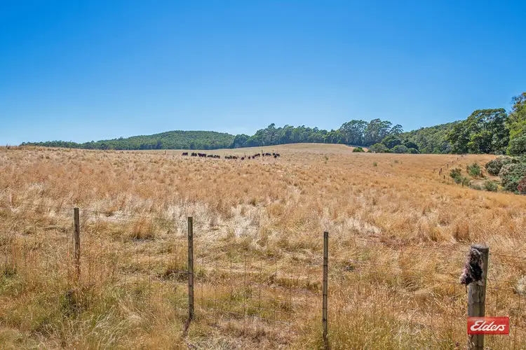 Third view of Homely rural property listing, 0 Upper Natone Road, Upper Natone TAS 7321