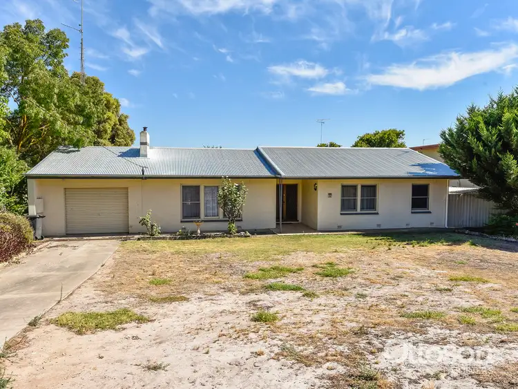Main view of Homely house listing, 19 Porter Street, Naracoorte SA 5271