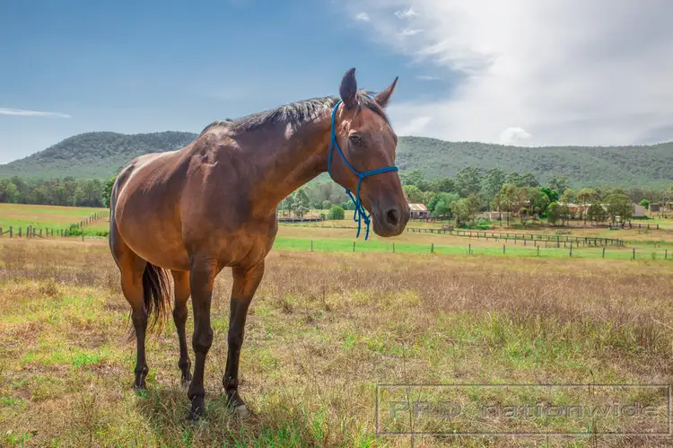 Second view of Homely land listing, 61 Williams River Close, Clarence Town NSW 2321