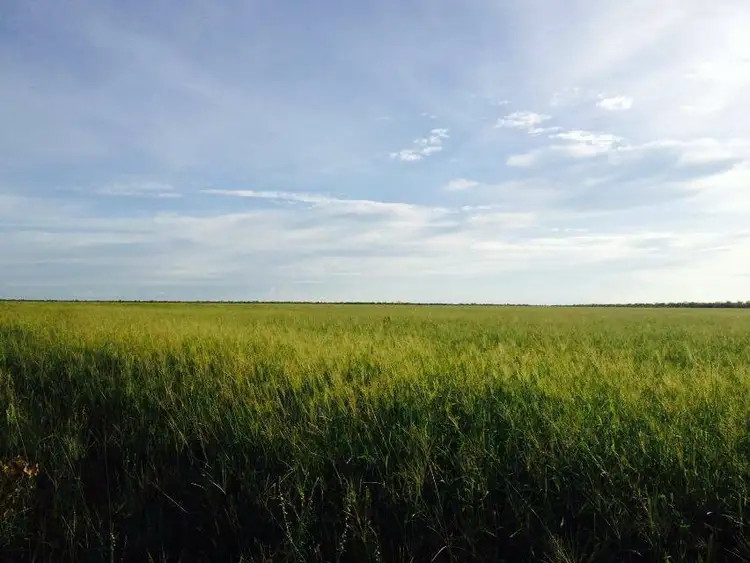 Second view of Homely rural property listing, Address available on request