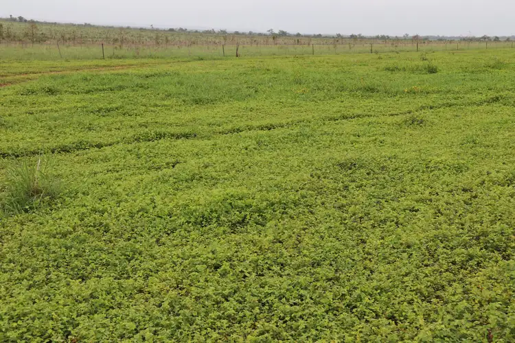 Seventh view of Homely rural property listing, Address available on request