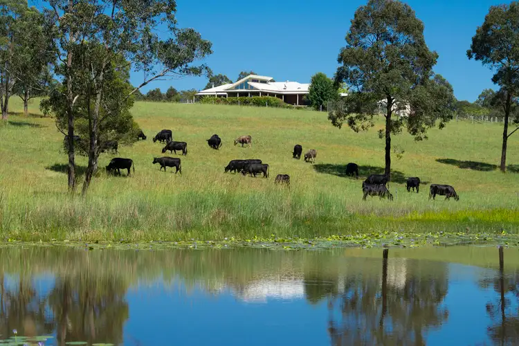 221 Trapyard Road, Wang Wauk NSW 2423