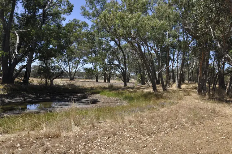 Sixth view of Homely rural property listing, Lot 3 Song Place, Manjimup WA 6258