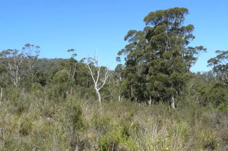 Seventh view of Homely land listing, 65-66 Smith Street, Nubeena TAS 7184