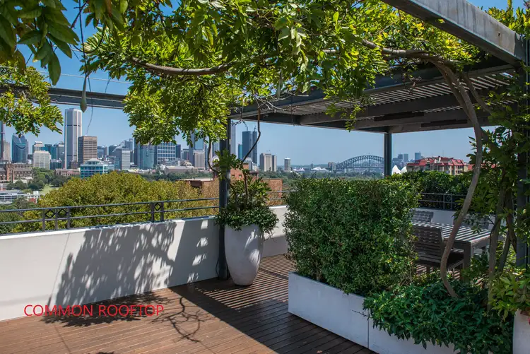 Third view of Homely apartment listing, 23/11 Springfield Avenue, Potts Point NSW 2011