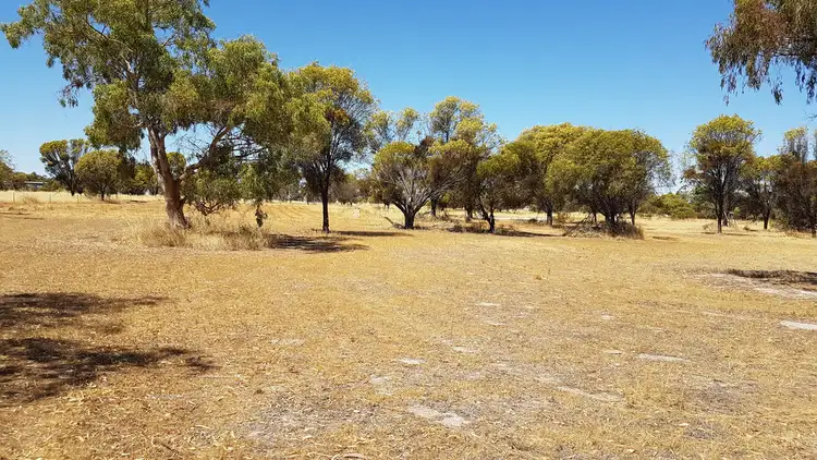 Third view of Homely land listing, 229 Mitchell Street, Meckering WA 6405