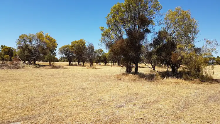 Sixth view of Homely land listing, 229 Mitchell Street, Meckering WA 6405