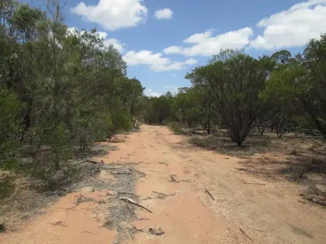 LOT 151 BENNETT SCHOOL ROAD, Tara QLD 4421