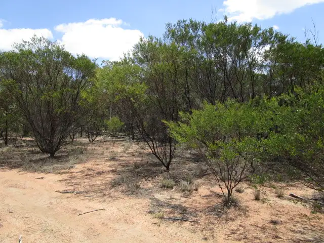 Second view of Homely rural property listing, LOT 151 BENNETT SCHOOL ROAD, Tara QLD 4421