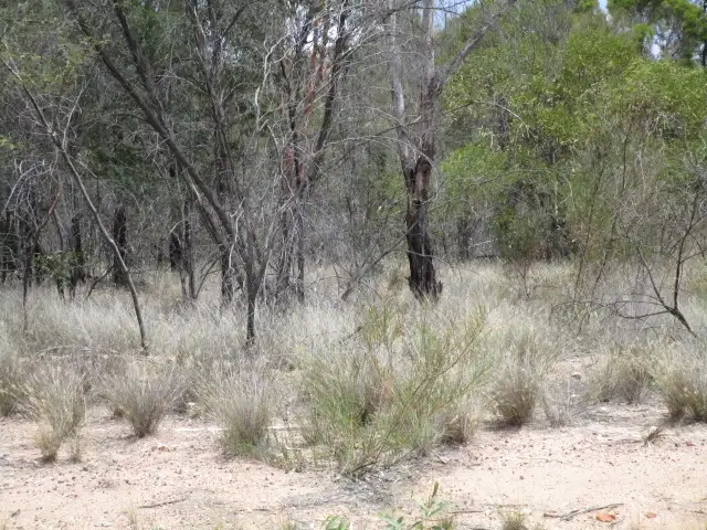 Sixth view of Homely rural property listing, LOT 151 BENNETT SCHOOL ROAD, Tara QLD 4421