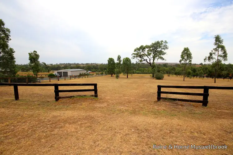 51 Stockyard Parade, Muswellbrook NSW 2333