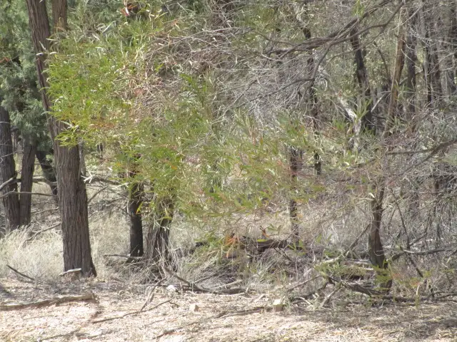 Third view of Homely rural property listing, LOT 27 ARNOLDS ROAD, Tara QLD 4421