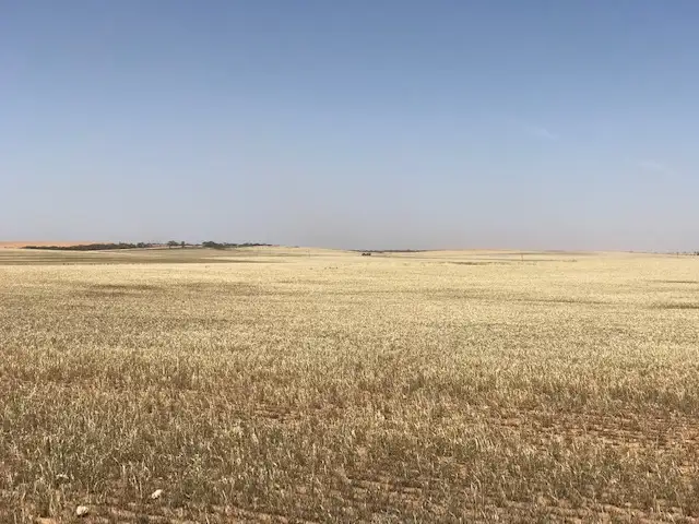 Second view of Homely rural property listing, 24 North Terrace, Copeville SA 5308