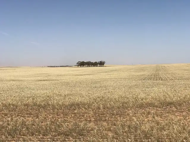 Third view of Homely rural property listing, 24 North Terrace, Copeville SA 5308