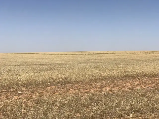 Fourth view of Homely rural property listing, 24 North Terrace, Copeville SA 5308