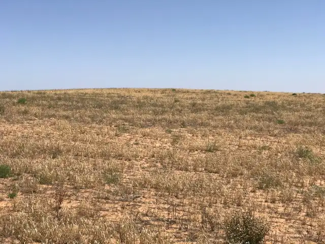 Fifth view of Homely rural property listing, 24 North Terrace, Copeville SA 5308