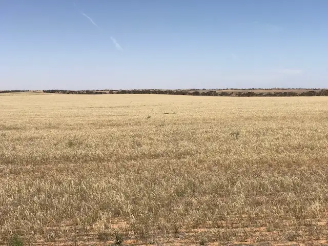 Sixth view of Homely rural property listing, 24 North Terrace, Copeville SA 5308