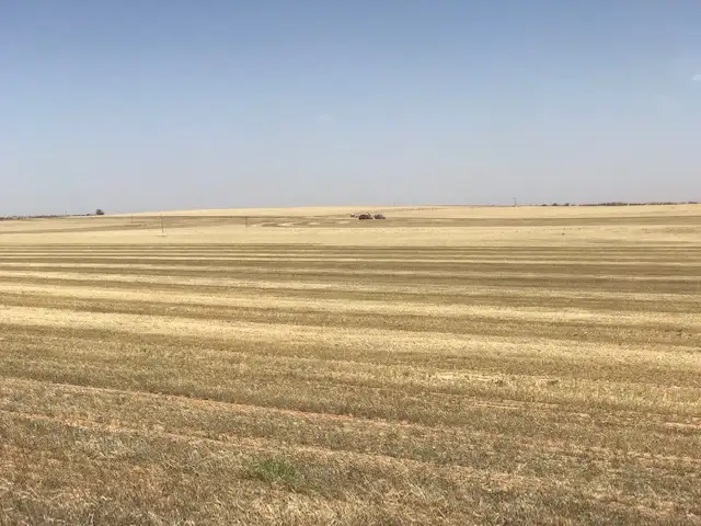 Seventh view of Homely rural property listing, 24 North Terrace, Copeville SA 5308