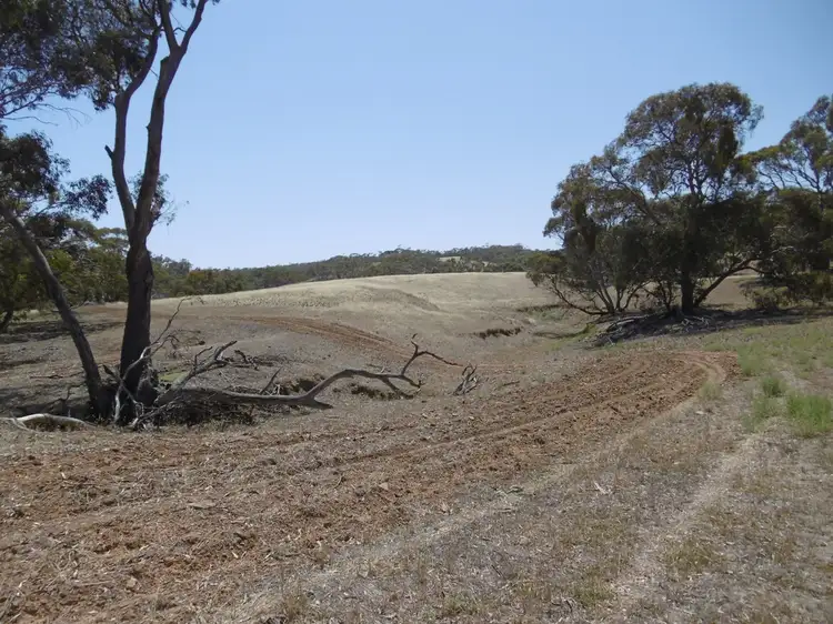Third view of Homely rural property listing, - Staceys, Tarcowie SA 5431