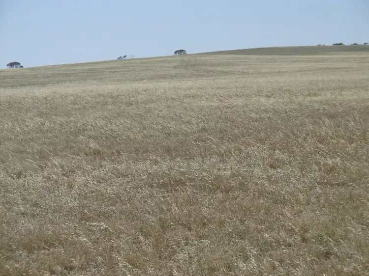 Fourth view of Homely rural property listing, - Staceys, Tarcowie SA 5431