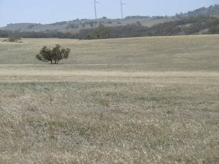 Fifth view of Homely rural property listing, - Staceys, Tarcowie SA 5431