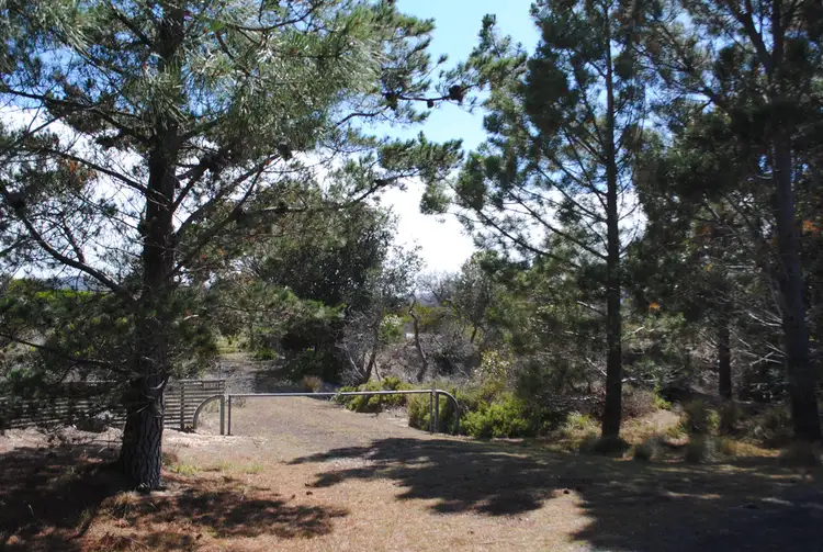 Main view of Homely land listing, 1518 Dolphin Sands Road, Dolphin Sands TAS 7190